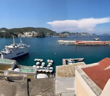 Magi - Orchidea * Ponza